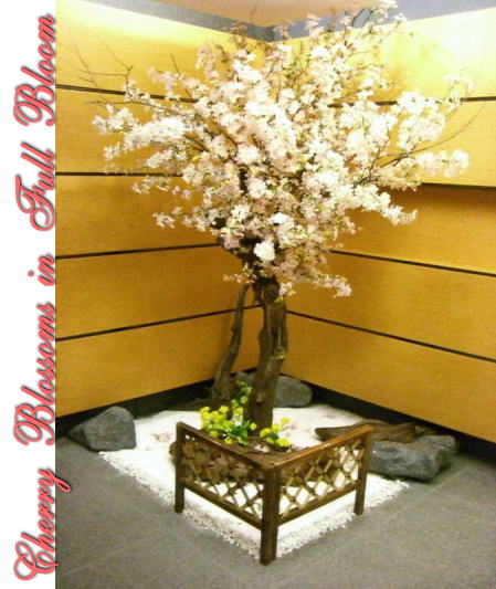 春の装飾、桜（さくら）ディスプレイ