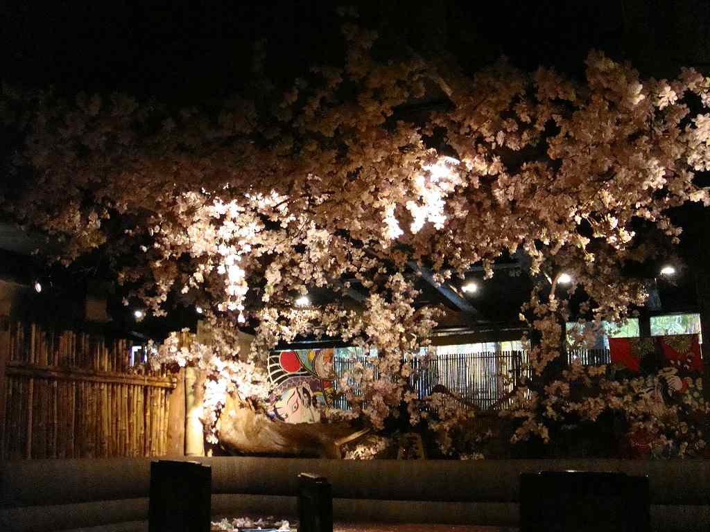 春の装飾、桜の装飾ディスプレイ